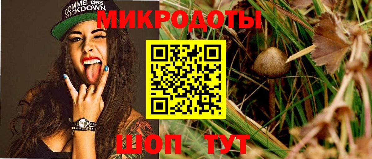 Псилоцибиновые грибы мицелий  Вход с VPN  Избербаш  Псилоцибиновые грибы MAGIC MUSHROOMS 